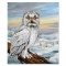 Igloo and Arctic Snow Owl by Katon Original
