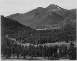 Adams - Rocky Mountain National Park Colorado 11