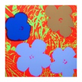 Flowers 11.69 by Warhol, Andy
