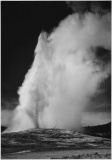 Adams - Old Faithful Geyser Erupting in Yellowstone National Park