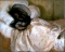 Sargent - The Mosquito Net