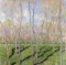 Claude Monet - Trees in Winter, Look at Bennecourt