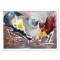 Untitled by Salomon (1935 - 2014)