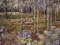 Studio Garden by John Powell