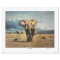 Elephant Territory by MacIntosh, Rob