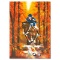Show Jumping by Spahn, Victor