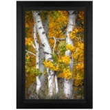 Fall is Over by Jongas,