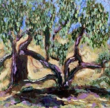 Canopy of Stories by Adonna