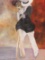 Susan Manders 