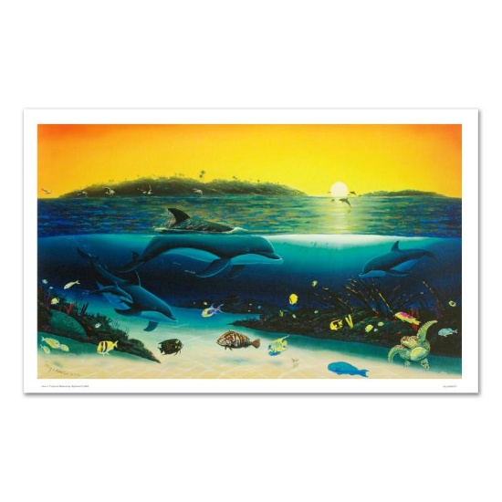 Warm Tropical Waters by Wyland,