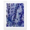 Splash 169 by Wyland Original