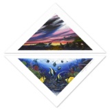 Diamonds of the Sea by Nelson Robert Lyn