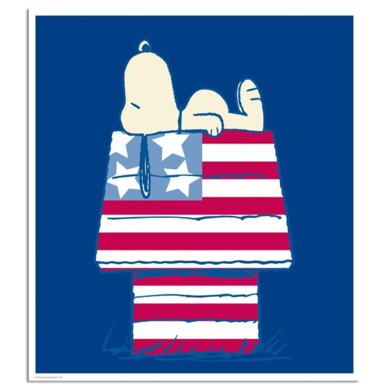Stars and Stripes and Sleep by Peanuts