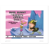 Whats Opera Doc by Looney Tunes