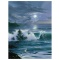 Moonlit Romance by Warren Jim