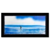 Fluke by Wyland Original