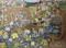Spring Iris by John Powell