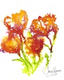 Jane SEYMOUR: Dancing Poppies VII.