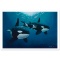 Orca Calling by Wyland