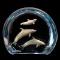 Aquatic Ballet by Cantrell Kitty