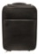 Louis Vuitton Black Taiga Leather Pegase 45 Suitcase Travel Roller Bag