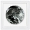 Last Moon by Longo Robert