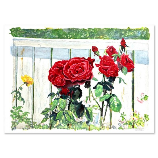 Roses by Fox Perla