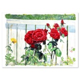 Roses by Fox Perla