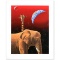 Our Home Too I - Elephants by Schimmel William