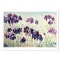 Iris by Fox Perla