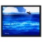 Humpback by Wyland Original