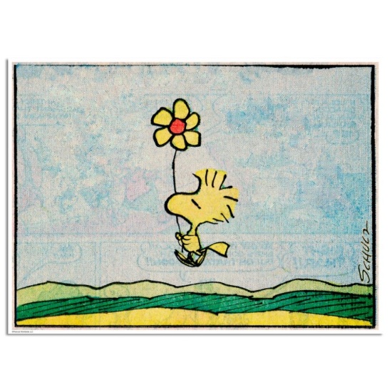 Flower by Peanuts