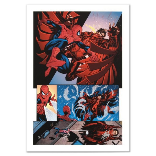 The Amazing Spider-Man #594 by Stan Lee