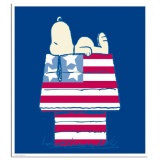 Stars and Stripes and Sleep by Peanuts