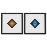 Rhombus - C et Rhombus de la serie Vonal (Diptych) by Vasarely (1908-1997)