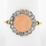 Antique Edwardian 18K Gold Platinum Button Angel Skin Coral w/ Diamond Halo Ring