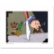 Deduce You Say! by Looney Tunes