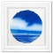 Fluke by Wyland Original
