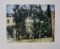 MAISON ET PAYSAGE by Cezanne, Paul
