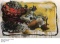 Music Man & Desert Flower by Stephen Holland ORIGINAL