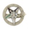 Antique Art Deco 14k White Gold Multi Colors Enamel Work Star Masonic Pin Brooch