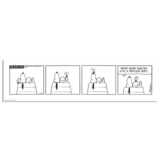 Restless Bird (panel) by Peanuts