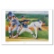 Nolan Ryan by Harrington David
