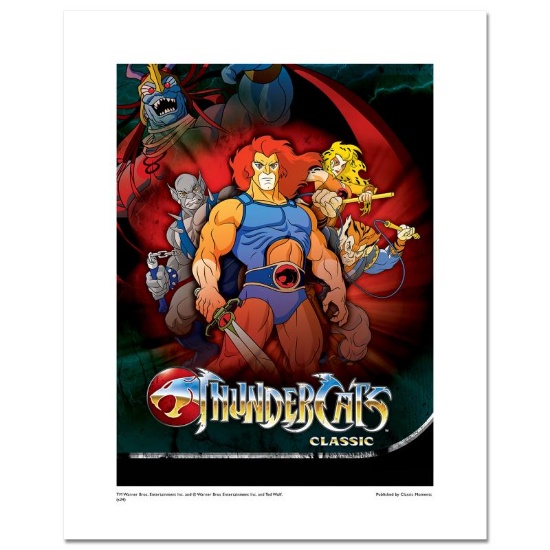 ThunderCats by Warner Brothers