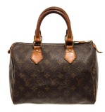 Louis Vuitton Speedy 25 Handbag