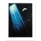 Conception by Schimmel William