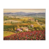 Tuscany Red Poppies by Park S. Sam