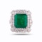9.48 ctw Emerald and 1.77 ctw Diamond Platinum Ring