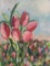 Field of Tulips by Adonna