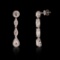4.01 ctw Diamond 18K White Gold Dangle Earrings